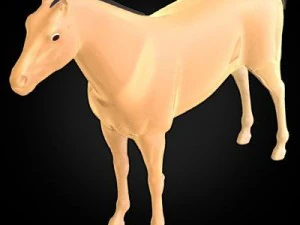 anatomia konia Model 3D