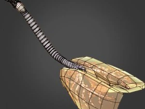 anatomia konia Model 3D