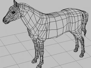 anatomia konia Model 3D