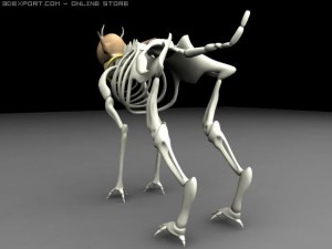 skeleton creature 3D Model