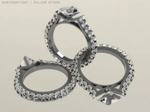 Frauenring 3D Modell