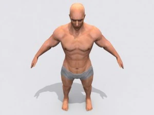 m&auml;nnlich 3D Modell