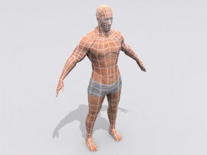 male 3D Model