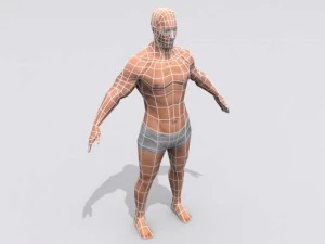m&auml;nnlich 3D Modell