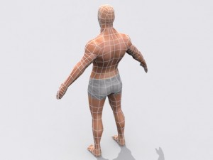male 3D Model