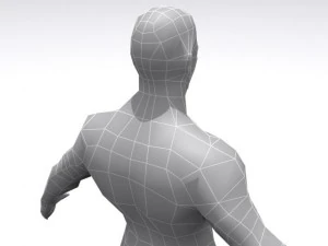 male  base 3D Model