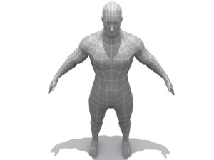 male  base 3D Model