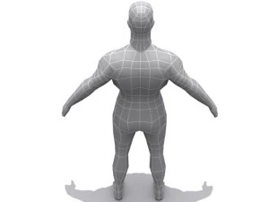 male  base 3D Model