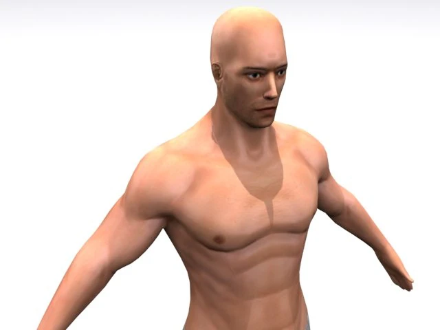 high resolution male 3D Model .c4d .max .obj .3ds .fbx .stl .blend 