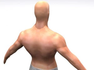 high resolution male 3D Model