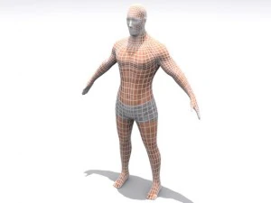 high resolution male 3D Model