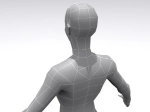 weibliche Basis 3D Modell