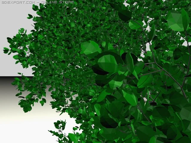 tree round leaf 3D Model .c4d .max .obj .3ds .fbx .stl .blend