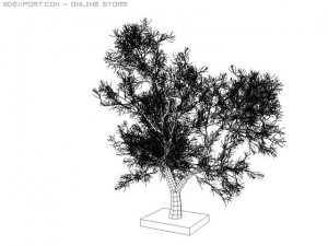 tree round leaf 3D Model