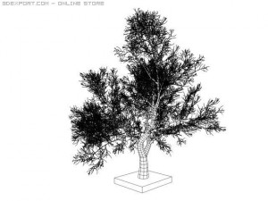tree round leaf 3D Model