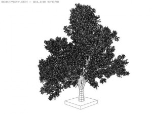 tree round leaf 3D Model