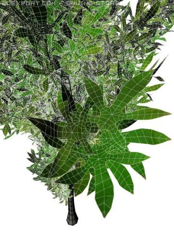 thin tree Modelo 3D .c4d .max .obj .3ds .fbx .stl .blend 