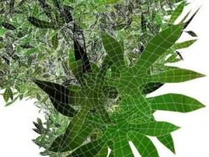 árvore fina Modelo 3D