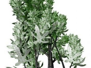 thin tree Modelo 3D