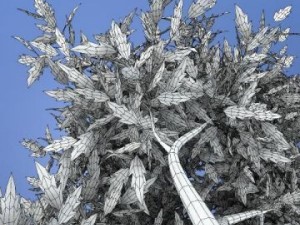 thin tree2 Model 3D