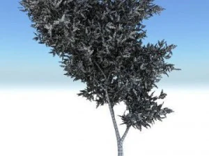 thin tree2 3D Model