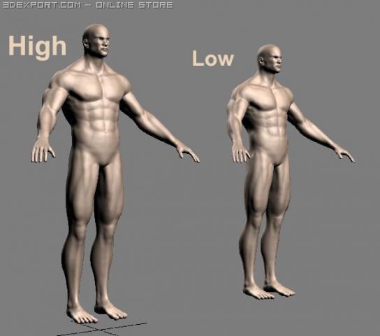 athletic male normal maps 3Dモデル .c4d .max .obj .3ds .fbx .stl .blend 