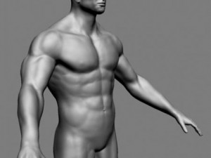 athletic male normal maps 3Dモデル