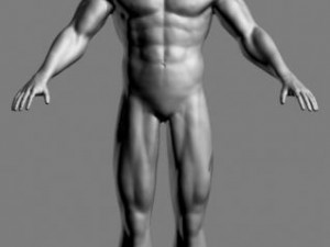 athletic male normal maps 3Dモデル
