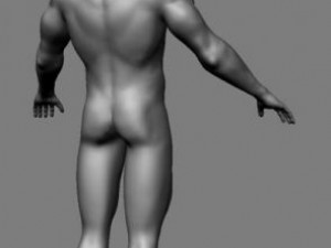 athletic male normal maps 3Dモデル
