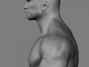 athletic male normal maps 3Dモデル