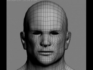 athletic male normal maps 3Dモデル