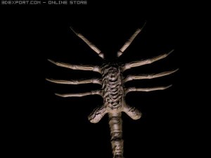 facehugger rigged 3D Model
