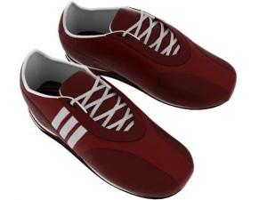 attraverso Modello 3D