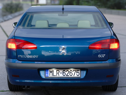 Peugeot 607 1999 Modello 3D