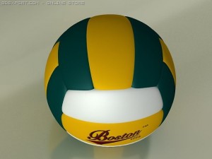 volleyball boston 3D Model