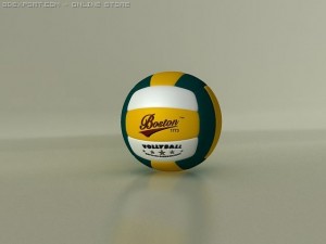volleyball boston 3D Model