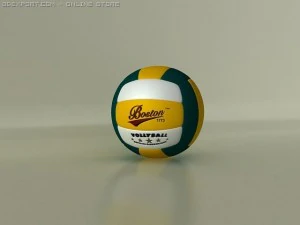 volleyball boston 3D Model