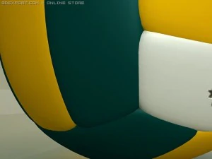 volleyball boston 3D Model