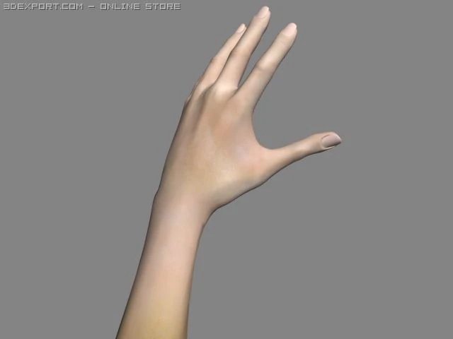 realsitic hand 3D Model .c4d .max .obj .3ds .fbx .stl .blend 