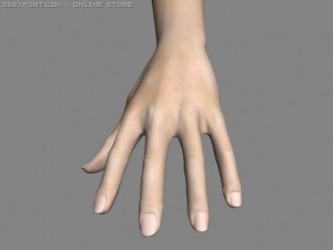 realsitic hand 3D Model