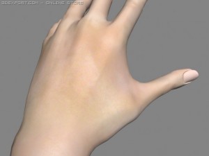 realsitic hand 3D Model