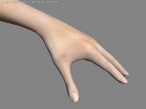 realsitic hand 3D Model