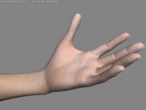 realsitic hand 3D Model
