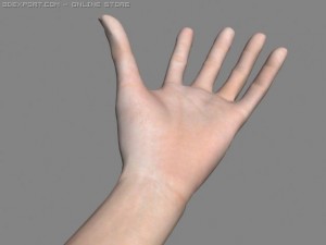 realsitic hand 3D Model