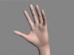 realsitic hand 3D Model