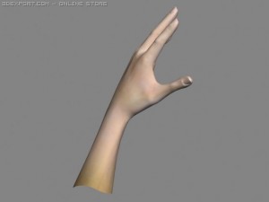realsitic hand 3D Model