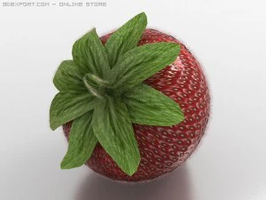 strawberry and chocolate 3D Model