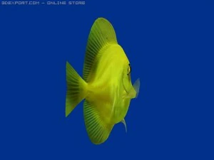 yellow tang fish 3D Model