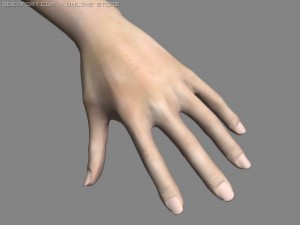 realistic hand Model 3D