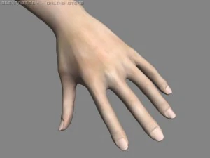 realistyczna ręka Model 3D